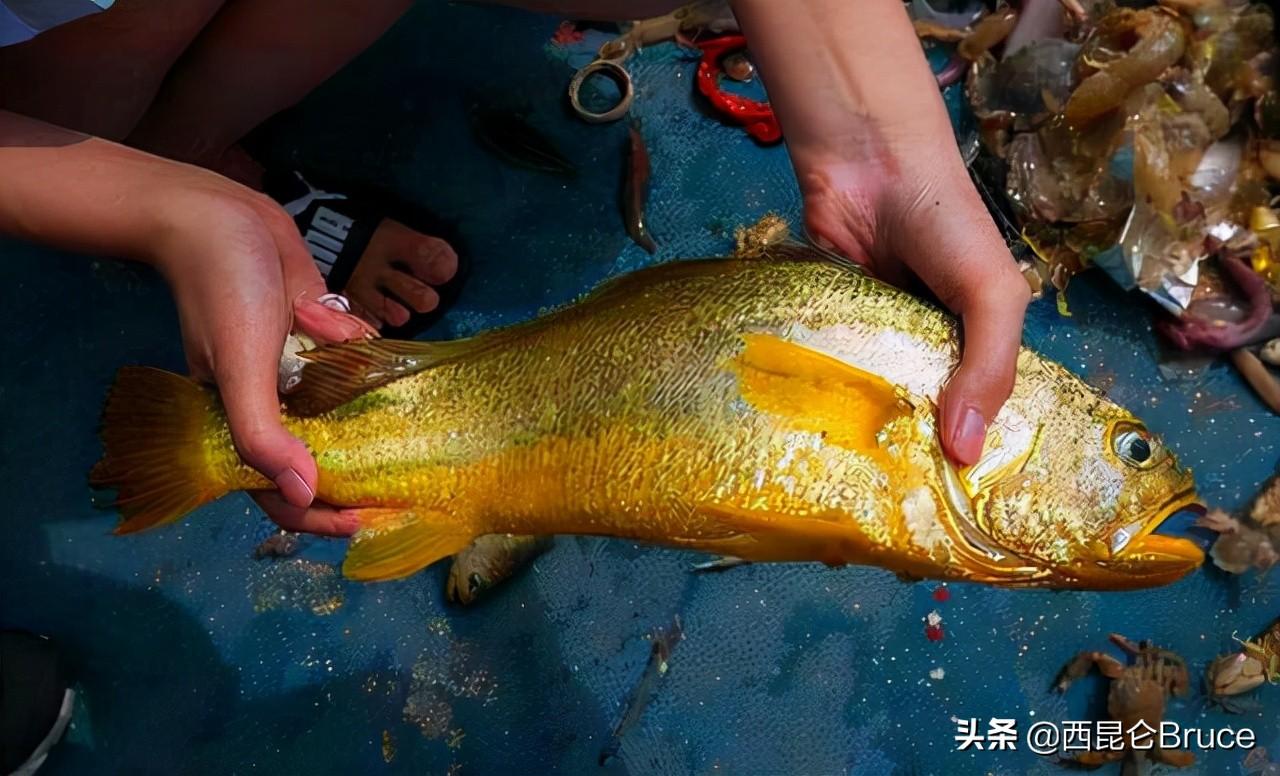 石浦人才市场招聘信息详解