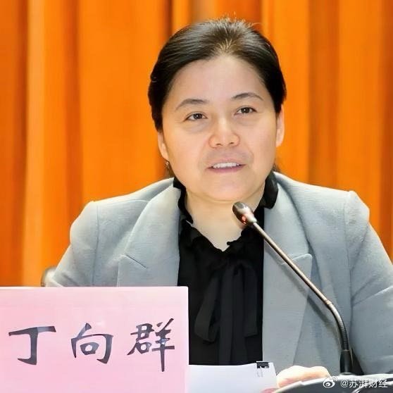 丁向群正式获批人保集团董事长，任职资格尘埃落定