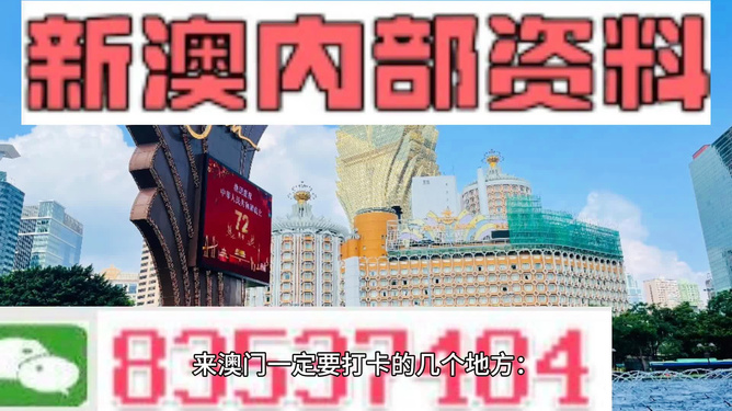 澳门2024年精准四不像一肖,精选解释解析落实